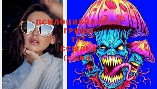 каннабис Елизово