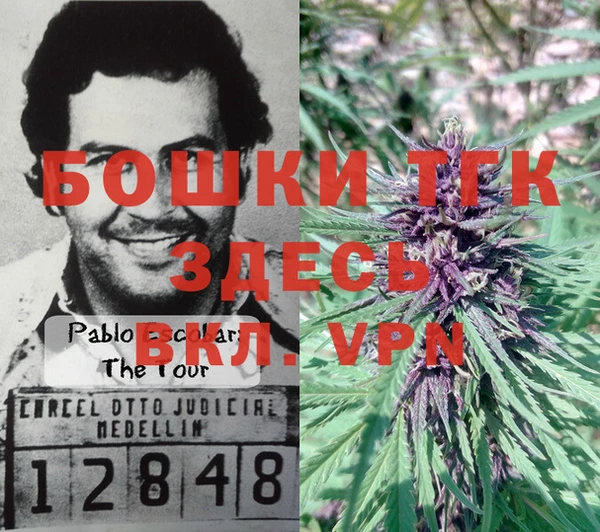 ALPHA-PVP Ельня