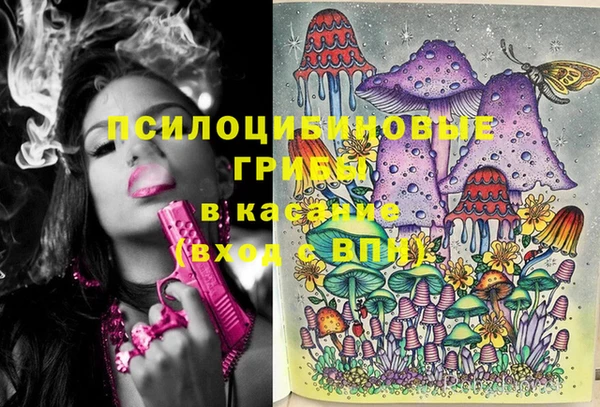 каннабис Елизово