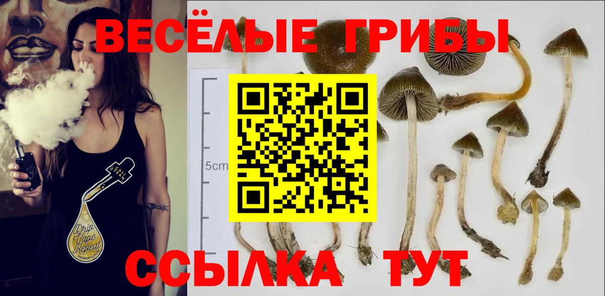 Псилоцибиновые грибы GOLDEN TEACHER Мыски
