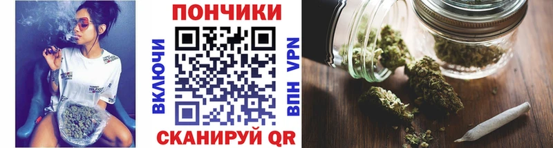 Бошки Шишки индика  закладка  Мыски 